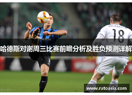 哈德斯对谢周三比赛前瞻分析及胜负预测详解